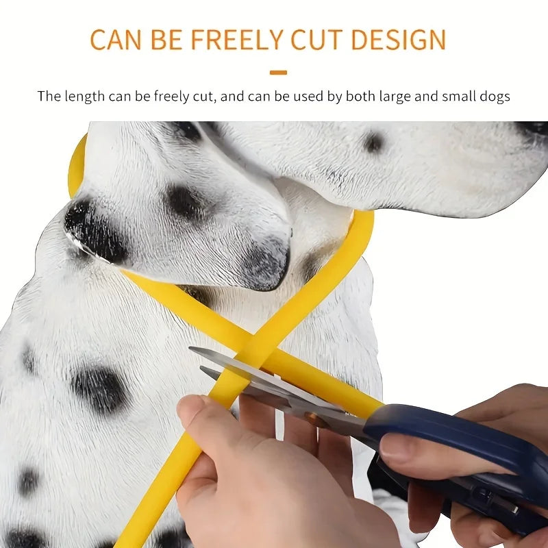 PawEssentials LED Safety Dog Collar