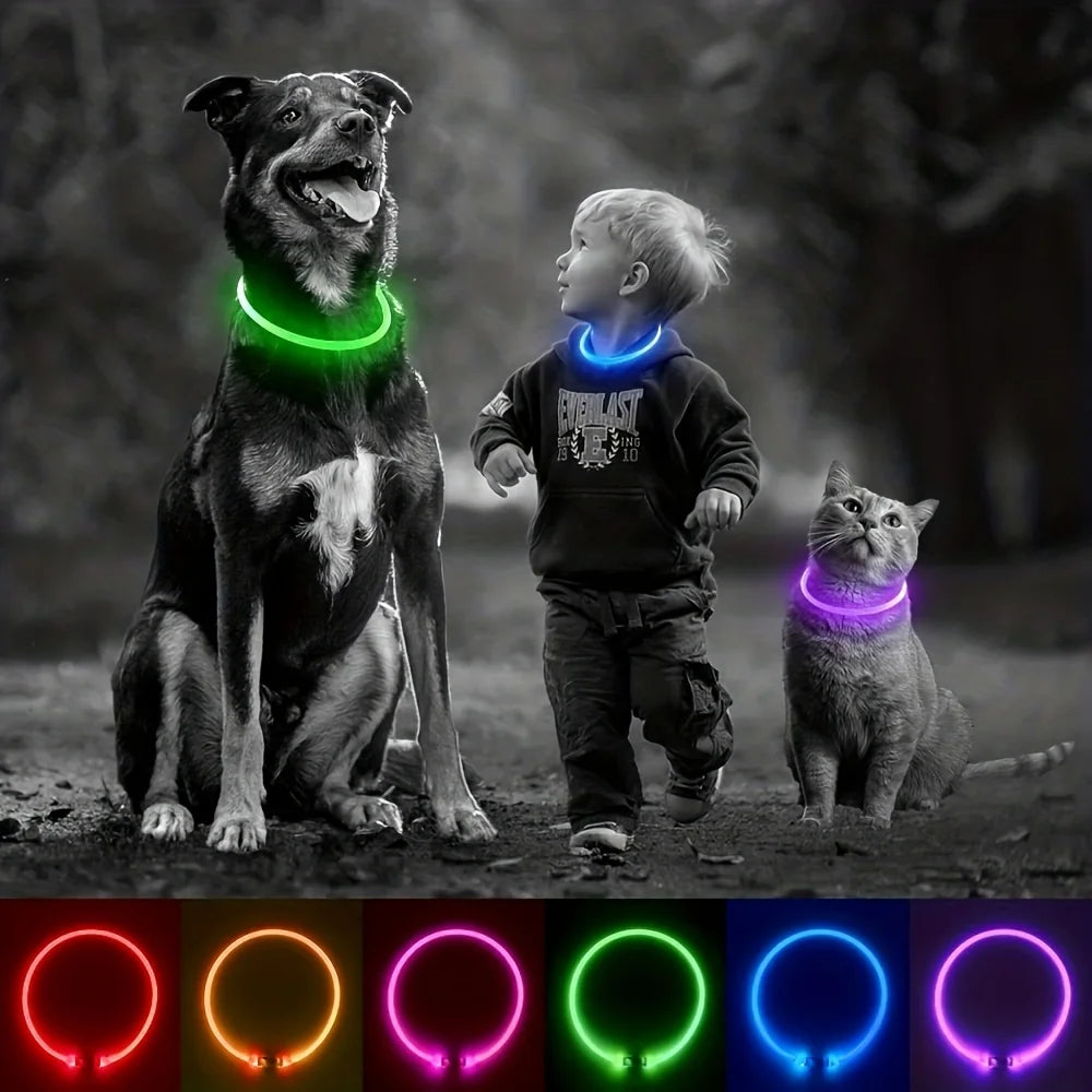 PawEssentials LED Safety Dog Collar