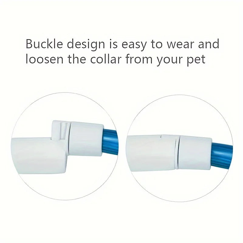 PawEssentials LED Safety Dog Collar