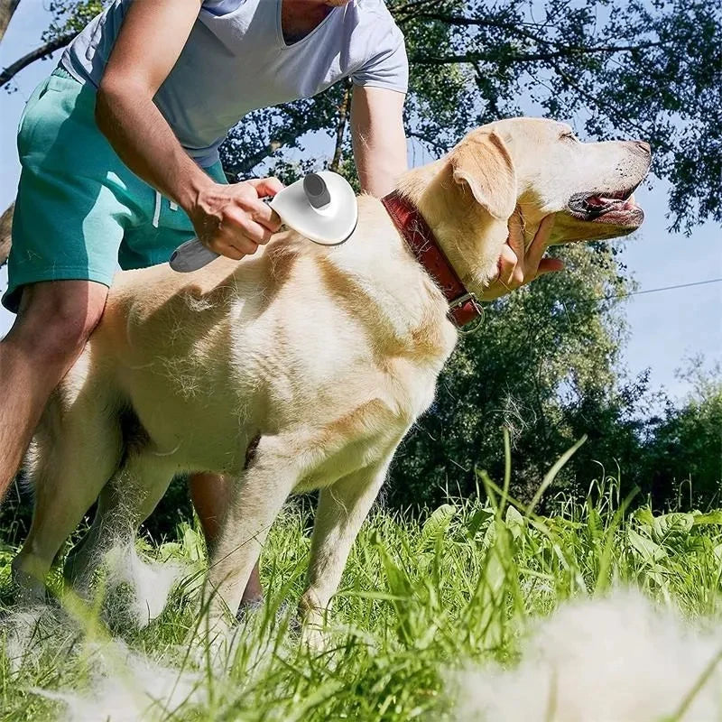 PawEssentials Self-Cleaning Pet Brush