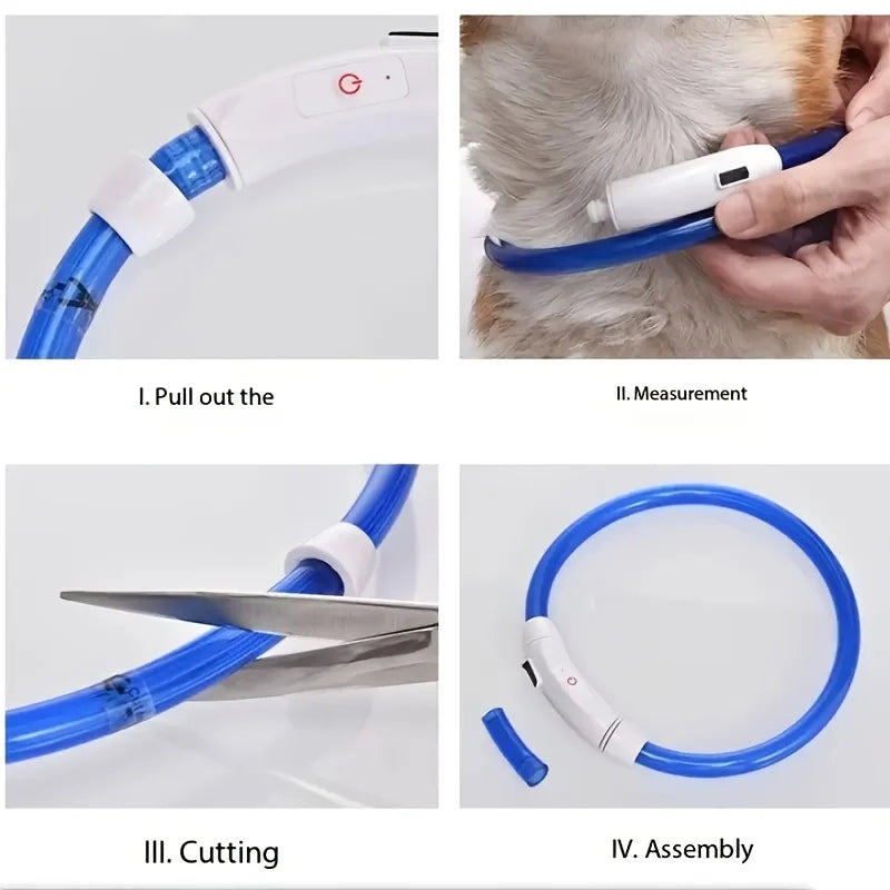 PawEssentials LED Safety Dog Collar