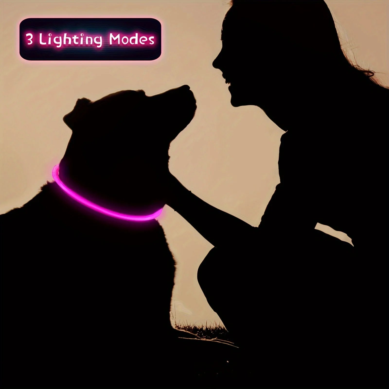 PawEssentials LED Safety Dog Collar