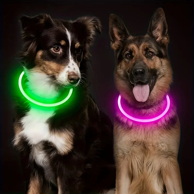 PawEssentials LED Safety Dog Collar
