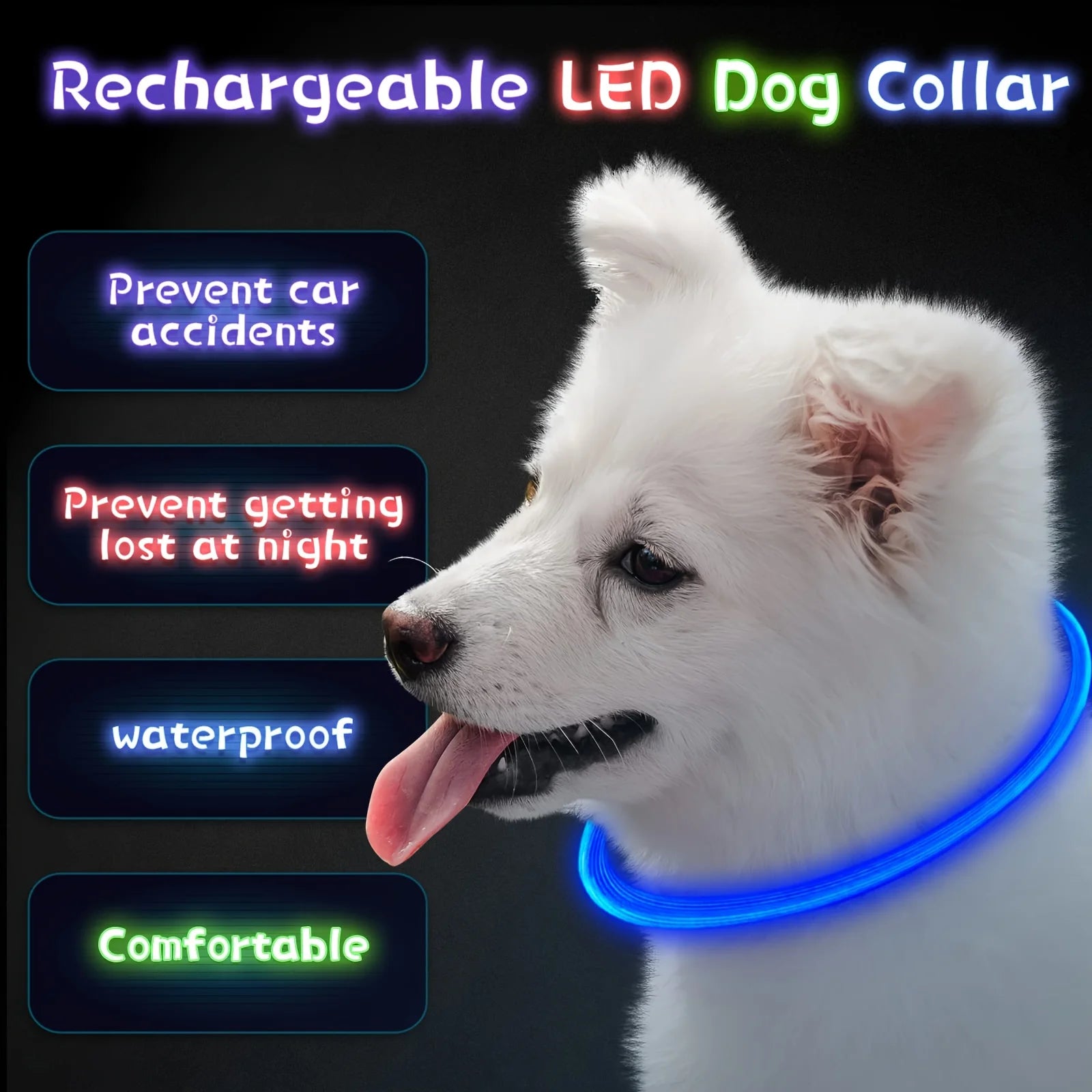 PawEssentials LED Safety Dog Collar