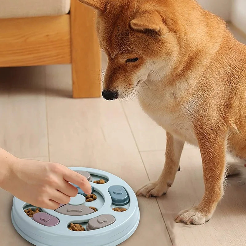 PawEssentials Interactive Slow Feeder Bowl