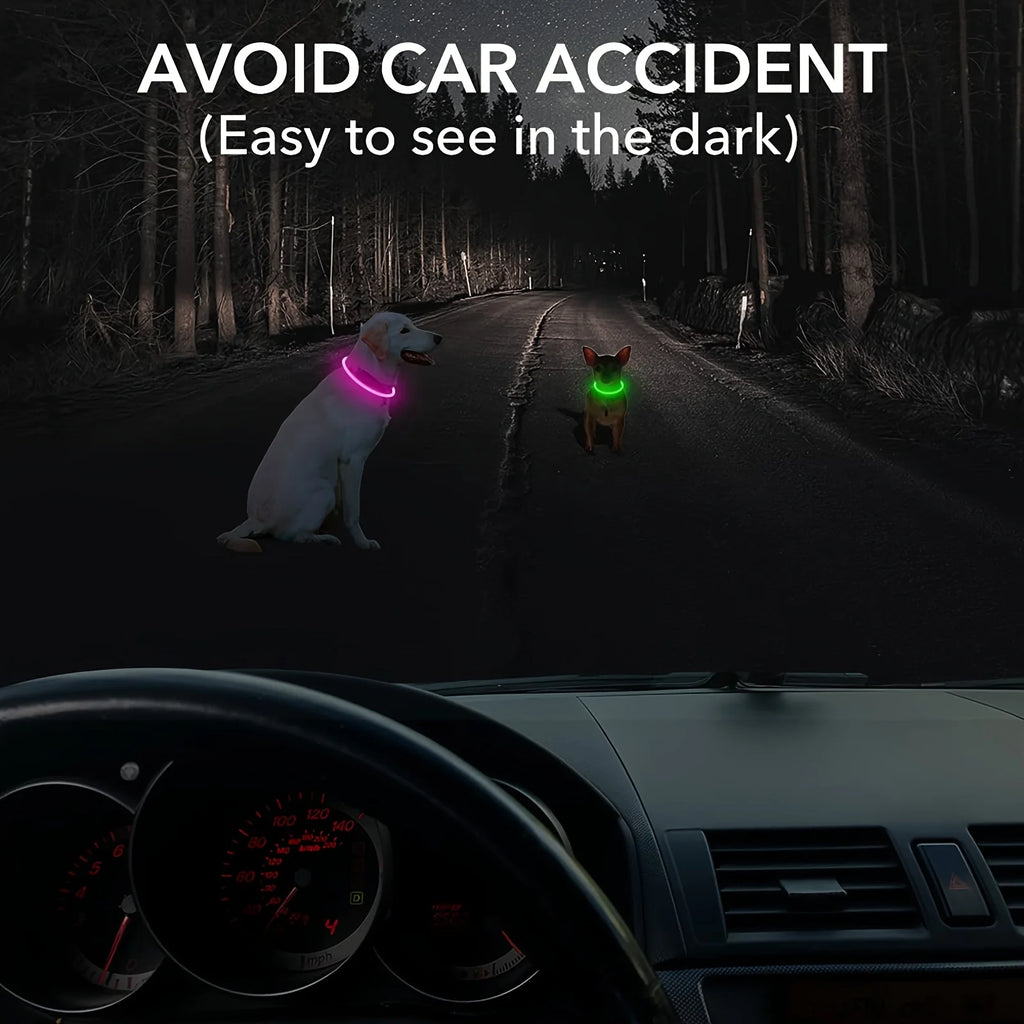 PawEssentials LED Safety Dog Collar