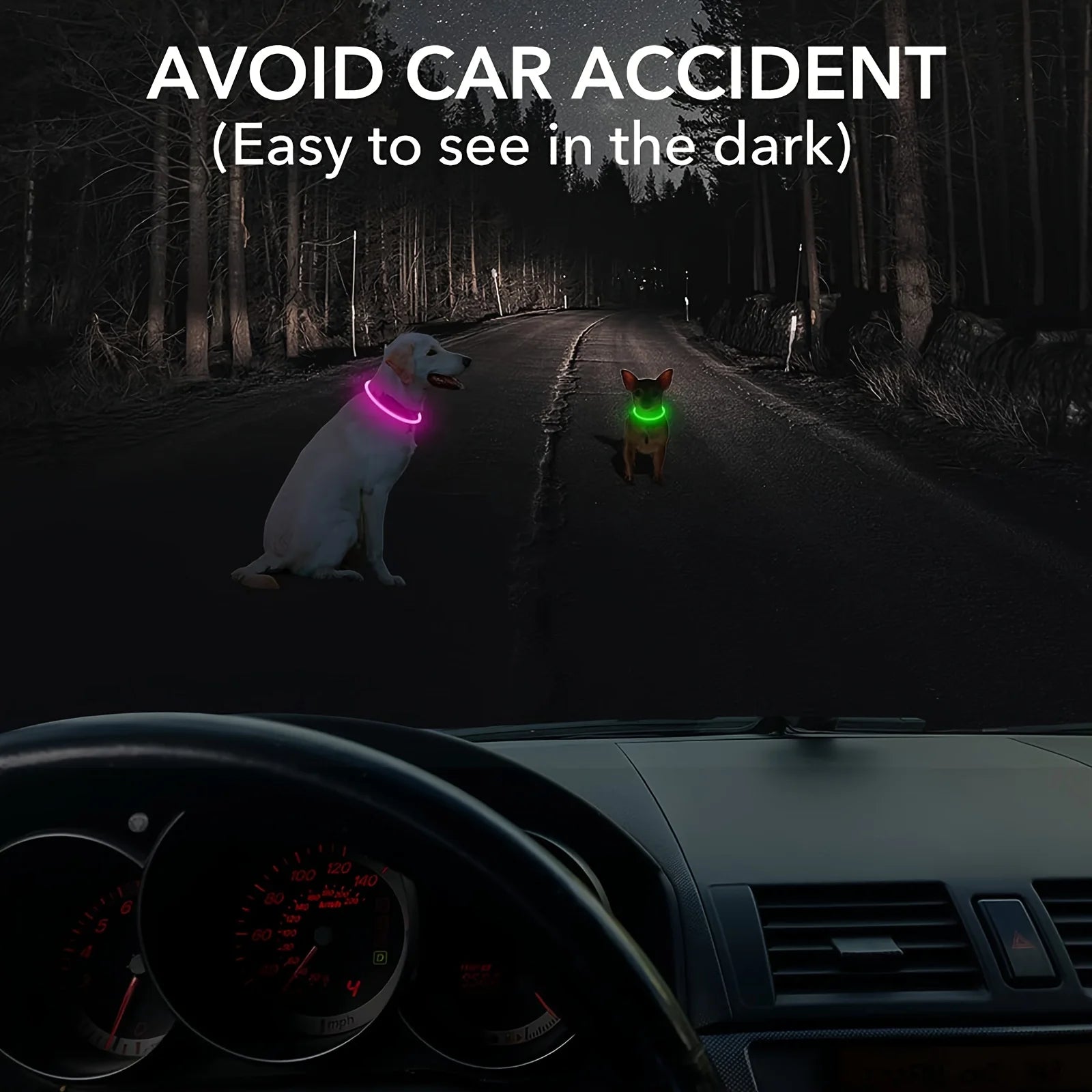 PawEssentials LED Safety Dog Collar