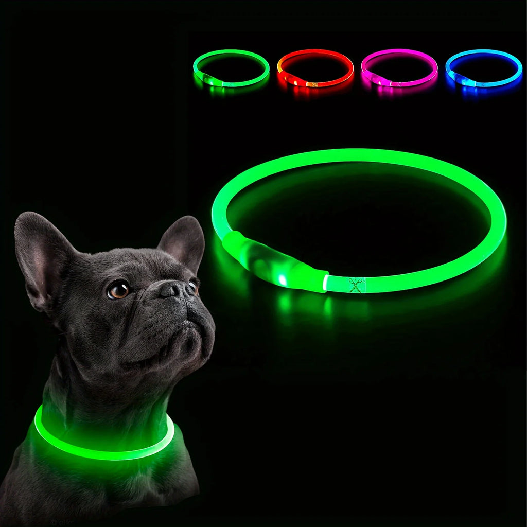 PawEssentials LED Safety Dog Collar