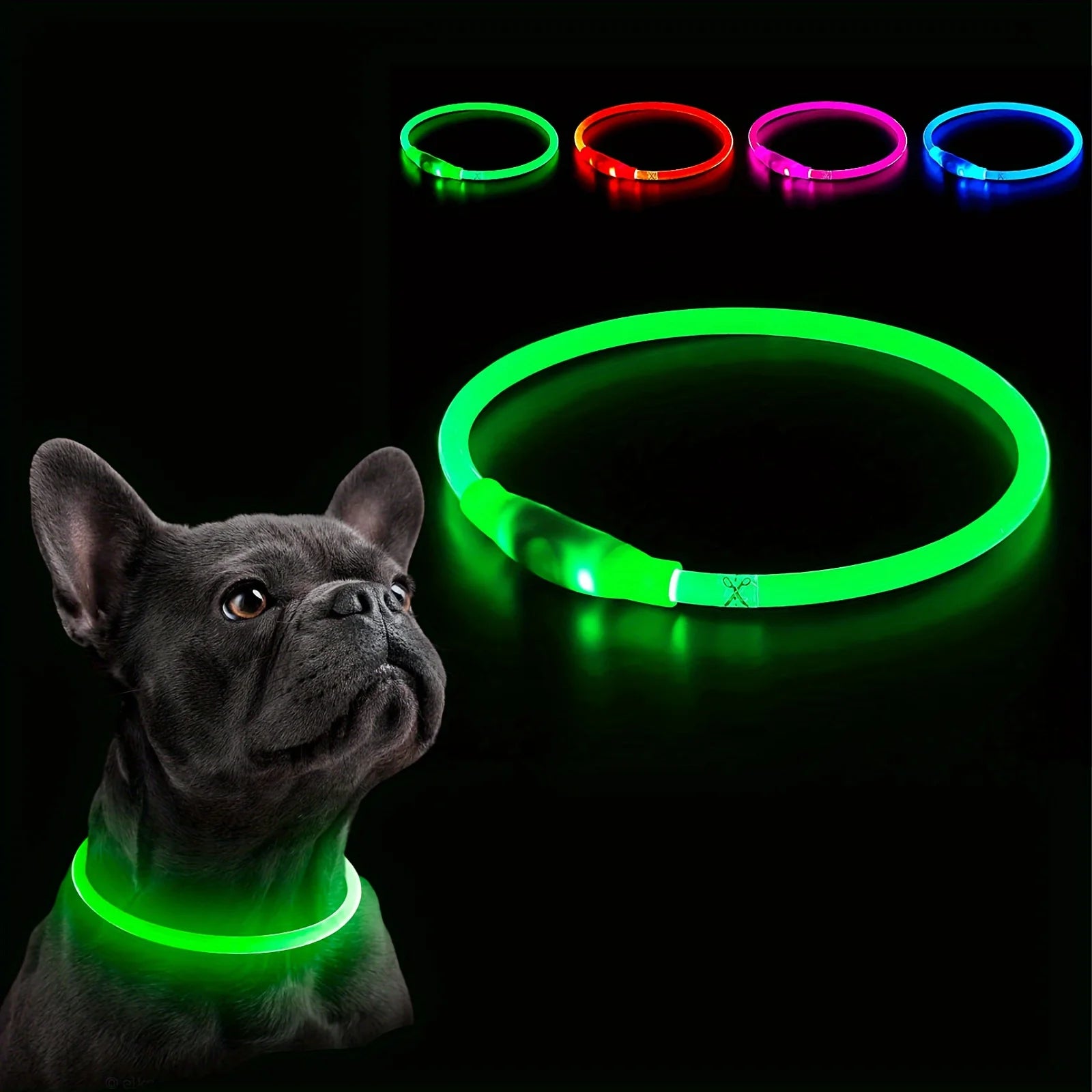 PawEssentials LED Safety Dog Collar