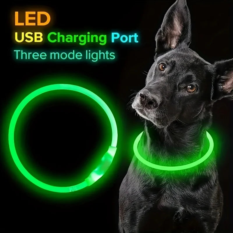 PawEssentials LED Safety Dog Collar
