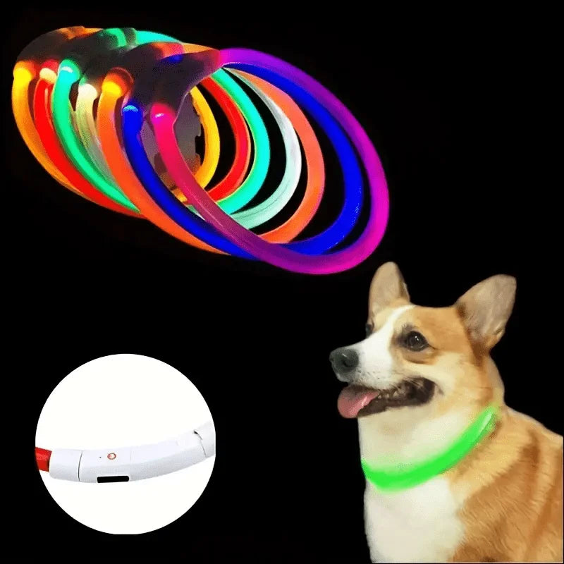 PawEssentials LED Safety Dog Collar